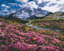 Opakowanie Malowanie po numerach - Alpejska łąka 40x50cm