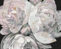 Opakowanie Malowanie po numerach - Barwy piwonia 40x50cm