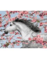 Opakowanie Malowanie po numerach - Biegnący koń 40x50