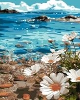 Opakowanie Malowanie po numerach - Cosmeya na wybrzeżu 40x50