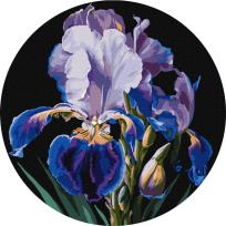 Opakowanie Malowanie po numerach - Delikatne irysy 33cm