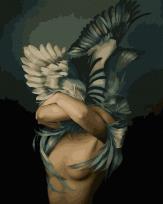 Opakowanie Malowanie po numerach Dziewczyna Ptak