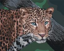 Opakowanie Malowanie po numerach - Dziki wygląd 40x50