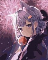 Opakowanie Malowanie po numerach - Fajerwerki życzeń 40x50cm