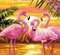 Opakowanie Malowanie po numerach - Flamingi 40x50cm