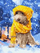 Opakowanie Malowanie po numerach - Futrzany przyjaciel 30x40