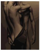 Opakowanie Malowanie po numerach - Gorąca pasja 40x50cm