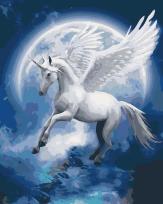 Opakowanie Malowanie po numerach - Gwiazdozbiór 40x50cm