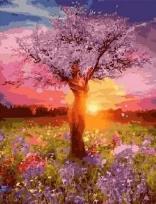 Opakowanie Malowanie po numerach - Inspiracja 40x50cm