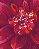 Opakowanie Malowanie po numerach - Jabłuszko 40x50cm