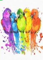 Opakowanie Malowanie po numerach - Kolorowe papugi 40x50cm
