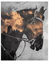 Opakowanie Malowanie po numerach - Koń 40x50cm