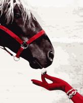 Opakowanie Malowanie po numerach - Koń i biżuteria 40x50cm