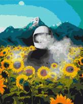 Opakowanie Malowanie po numerach Kosmiczna Ziemia