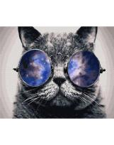 Opakowanie Malowanie po numerach - Kot brytyjski 40x50cm