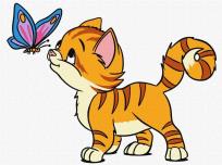 Opakowanie Malowanie po numerach - Kot i motyl 30x40cm