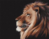 Opakowanie Malowanie po numerach - Królewskie spojrzenie