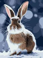 Opakowanie Malowanie po numerach - Królik Bo 30x40cm