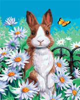 Opakowanie Malowanie po numerach - Królik w rumianku 40x50cm