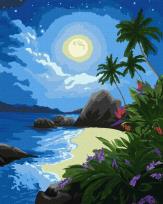 Opakowanie Malowanie po numerach - Księżycowa noc 40x50cm