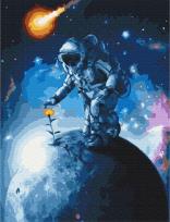 Opakowanie Malowanie po numerach - Kwiaty wszechświata 40x50