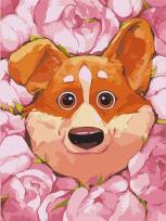 Opakowanie Malowanie po numerach - Kwitnące corgi 30x40cm