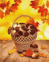 Opakowanie Malowanie po numerach - Leśne dary 40x50cm