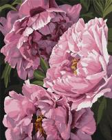 Opakowanie Malowanie po numerach - Magia kwiatów 40x50cm