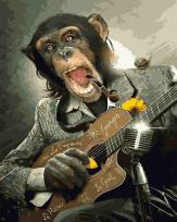 Opakowanie Malowanie po numerach  Małpa z gitara