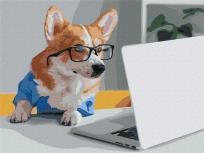 Opakowanie Malowanie po numerach - Mały biznesmen 30x40