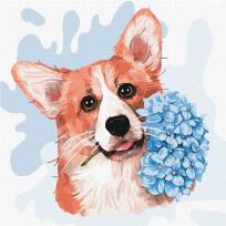 Opakowanie Malowanie po numerach - Mały corgi 30x30