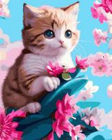 Opakowanie Malowanie po numerach - Mały Kotek 40x50 cm