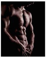 Opakowanie Malowanie po numerach - Męski tors 40x50cm