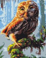 Opakowanie Malowanie po numerach - Młoda sówka 40x50cm