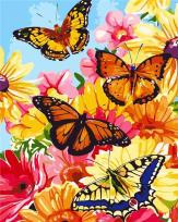 Opakowanie Malowanie po numerach - Motyle 30x40cm