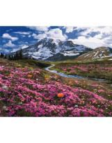 Opakowanie Malowanie po numerach - Na próbach 40x50cm