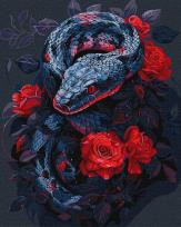 Opakowanie Malowanie po numerach - Niebezpieczna róża 40x50cm