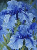 Opakowanie Malowanie po numerach - Niebieskie tęczówki 30x40