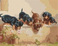 Opakowanie Malowanie po numerach - Nieoczekiwane.. 40x50cm