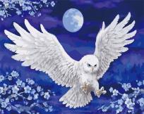 Opakowanie Malowanie po numerach - Nocna sowa 40x50cm