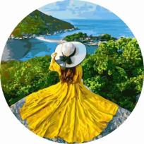 Opakowanie Malowanie po numerach okrągłe - Dziewczyna jest...