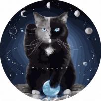 Opakowanie Malowanie po numerach okrągłe - Kot w kosmosie 40