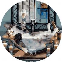 Opakowanie Malowanie po numerach okrągłe - Musujący kot 40cm