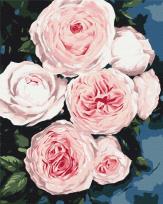 Opakowanie Malowanie po numerach Pąki bujnych róż