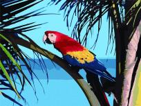 Opakowanie Malowanie po numerach - Papuga 30x40cm