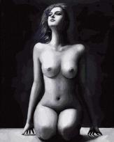 Opakowanie Malowanie po numerach - Piękno ciała 40x50cm