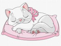 Opakowanie Malowanie po numerach - Piękny kotek 30x40cm