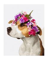 Opakowanie Malowanie po numerach - Pies w wieńcu 40x50cm