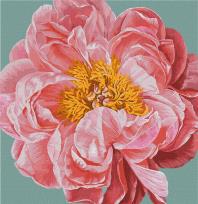 Opakowanie Malowanie po numerach - Pink kiss 40x40cm