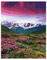 Opakowanie Malowanie po numerach - Pole kwiatów 40x50